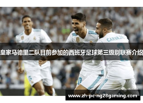 皇家马德里二队目前参加的西班牙足球第三级别联赛介绍