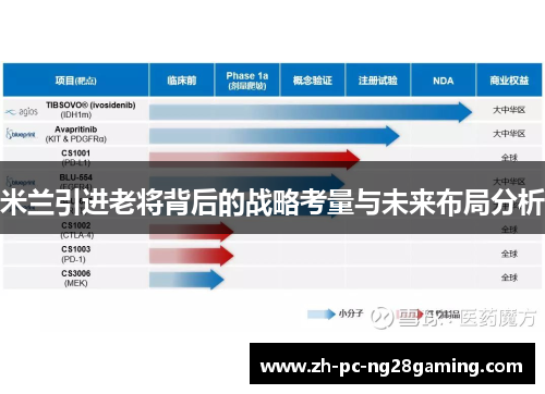 米兰引进老将背后的战略考量与未来布局分析
