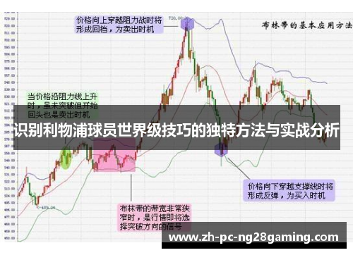 识别利物浦球员世界级技巧的独特方法与实战分析