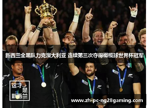 新西兰全黑队力克澳大利亚 连续第三次夺得橄榄球世界杯冠军