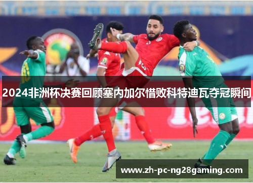 2024非洲杯决赛回顾塞内加尔惜败科特迪瓦夺冠瞬间
